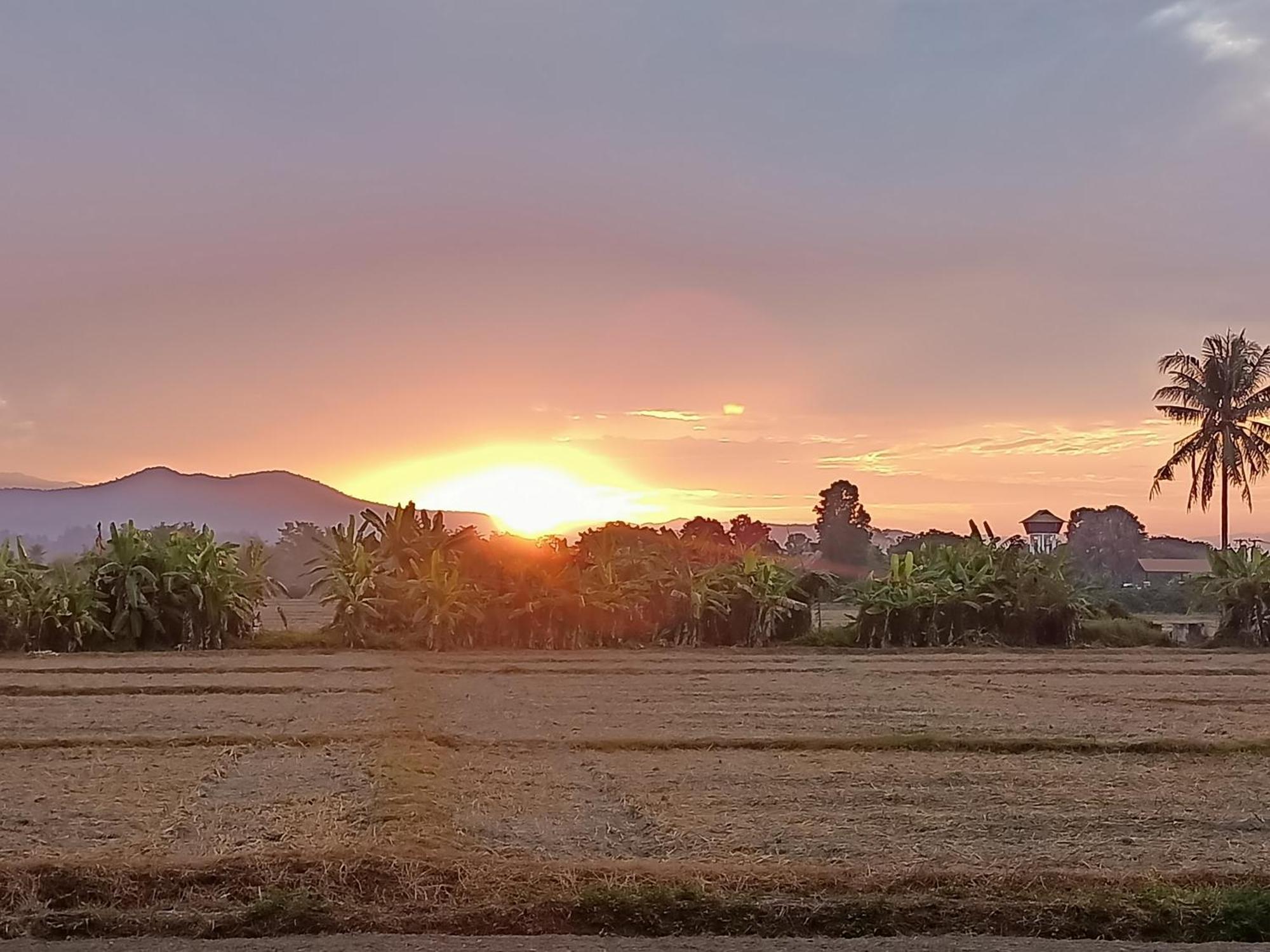Villa Albizia, Chiang Mai Dojszaket Kültér fotó