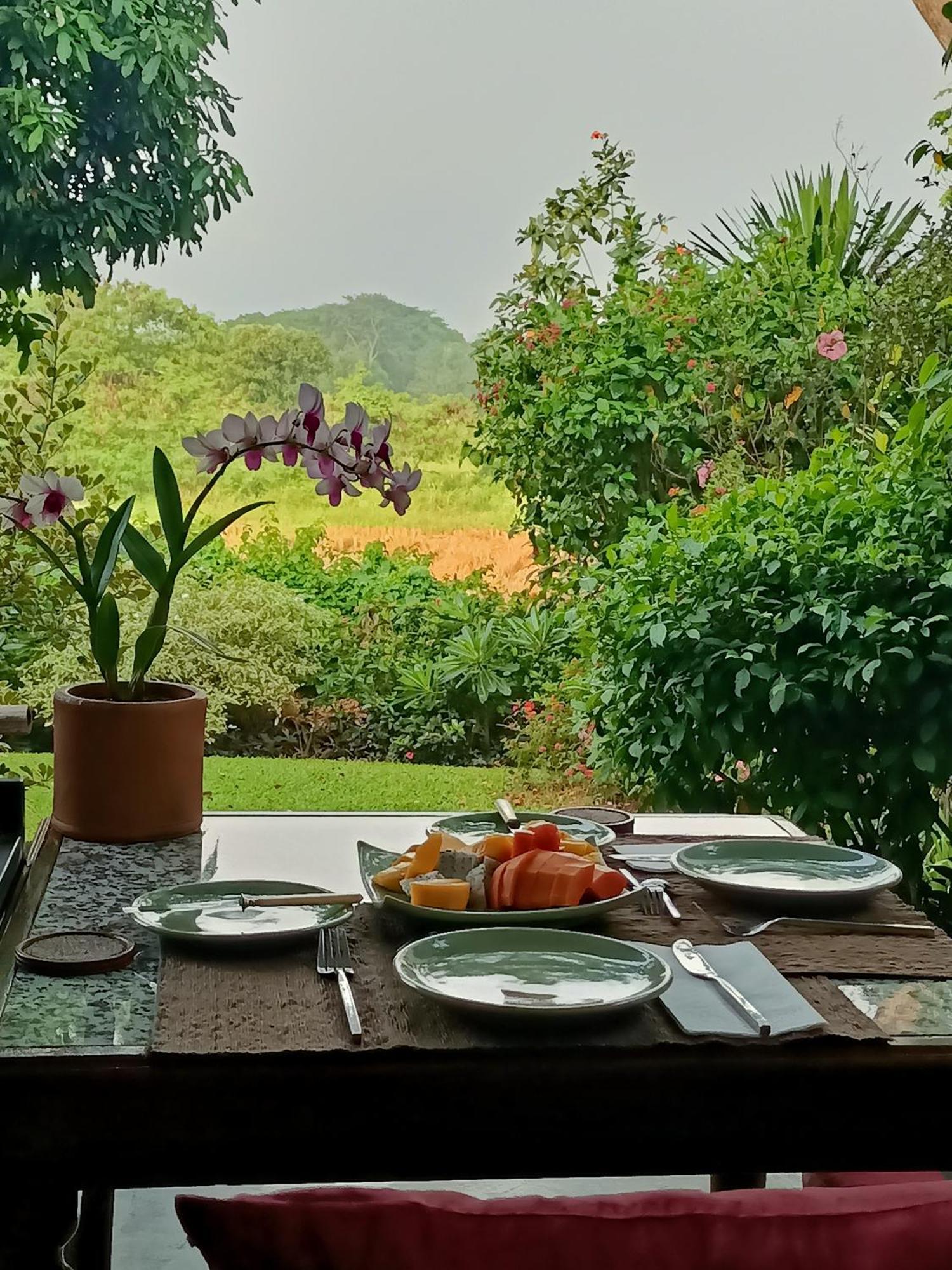 Villa Albizia, Chiang Mai Dojszaket Kültér fotó