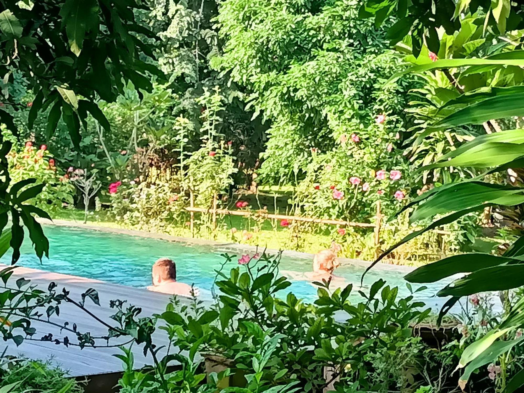 Villa Albizia, Chiang Mai Dojszaket Kültér fotó