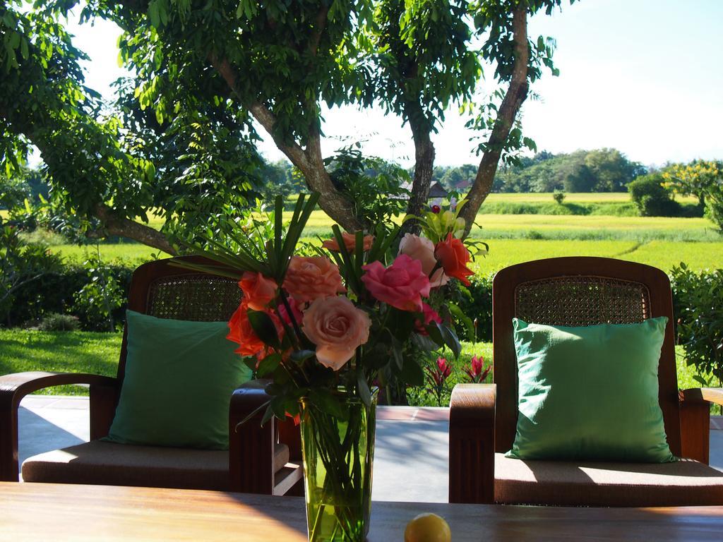 Villa Albizia, Chiang Mai Dojszaket Kültér fotó