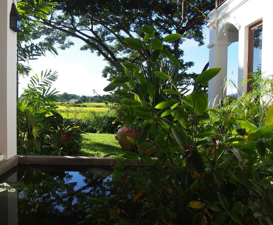 Villa Albizia, Chiang Mai Dojszaket Kültér fotó