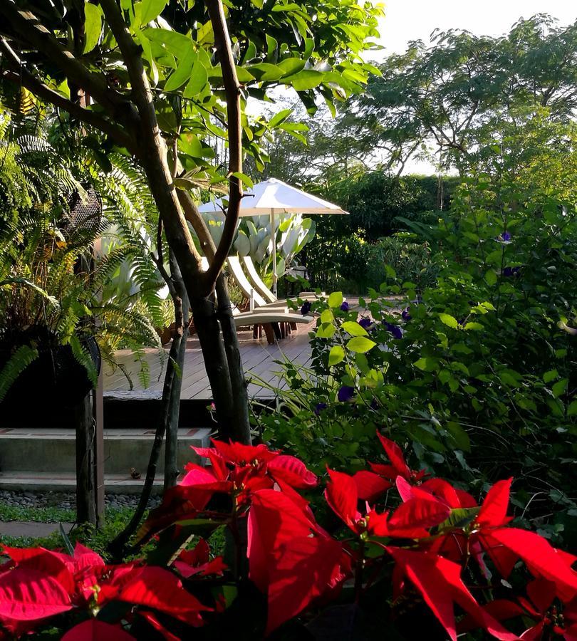 Villa Albizia, Chiang Mai Dojszaket Kültér fotó