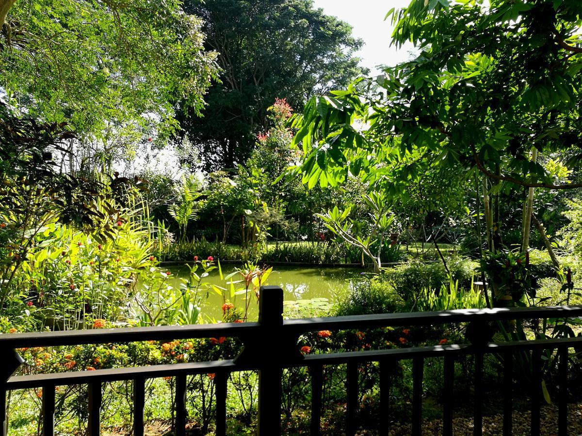 Villa Albizia, Chiang Mai Dojszaket Kültér fotó