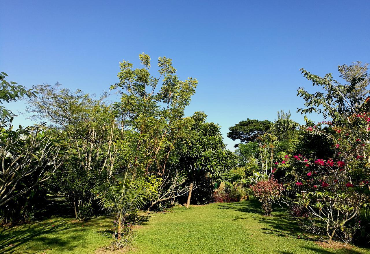 Villa Albizia, Chiang Mai Dojszaket Kültér fotó