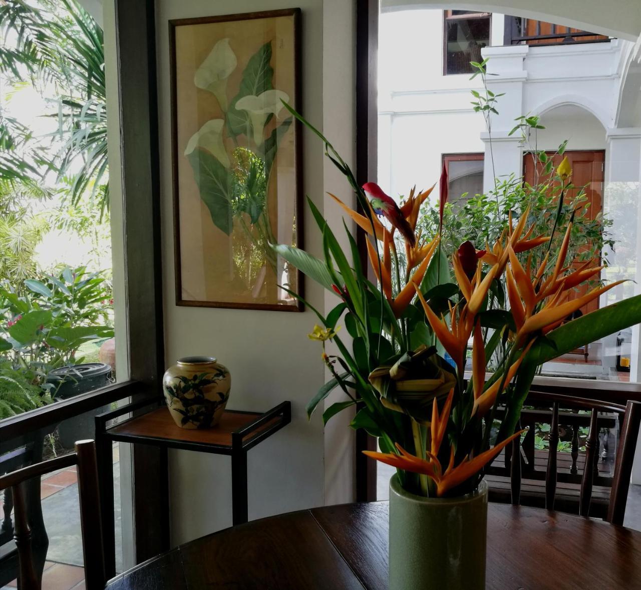 Villa Albizia, Chiang Mai Dojszaket Kültér fotó